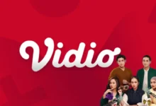 Vidio's Expansion Fueled by $2.2M Investment