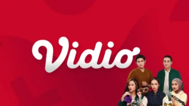 Vidio's Expansion Fueled by $2.2M Investment
