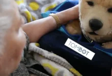Robotic Dog for Seniors Nets $6.1M in Series A Round