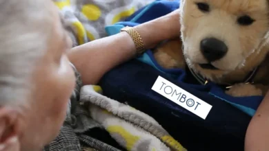 Robotic Dog for Seniors Nets $6.1M in Series A Round